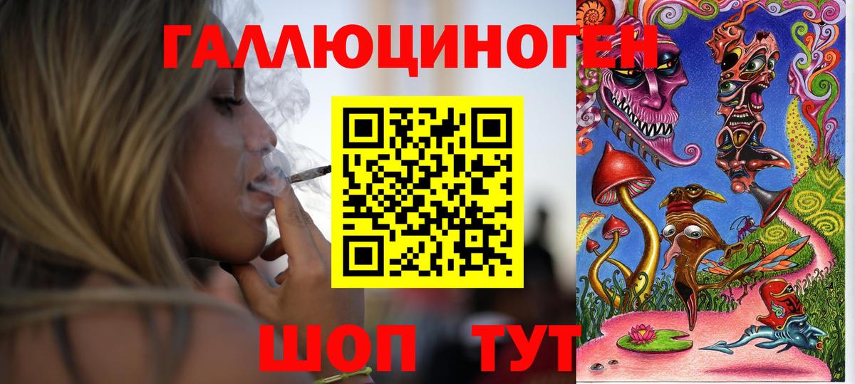хочу   Псилоцибиновые грибы GOLDEN TEACHER  Дмитров  Вход с VPN  Галлюциногенные грибы Magic Shrooms 